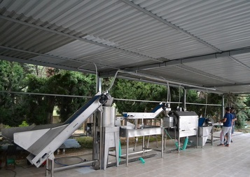 Processing & Packaging Line for fresh peeled Potatoes