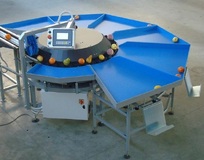 Mini cc Electronic grader