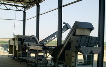 Sorting and Packaging line for Onions