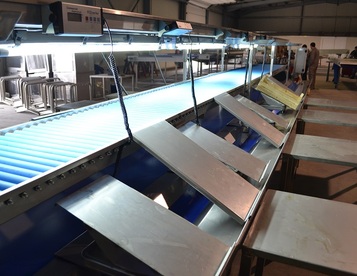 Packaging and sorting Line for Grapes