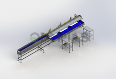 Electronic grader for Watermelon and Melon