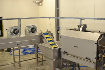 Processing & Packaging Line for fresh peeled Potatoes