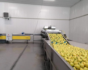 Grading - Sorting and Processing Line for Apples