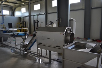 Processing & Packaging Line for fresh peeled Potatoes